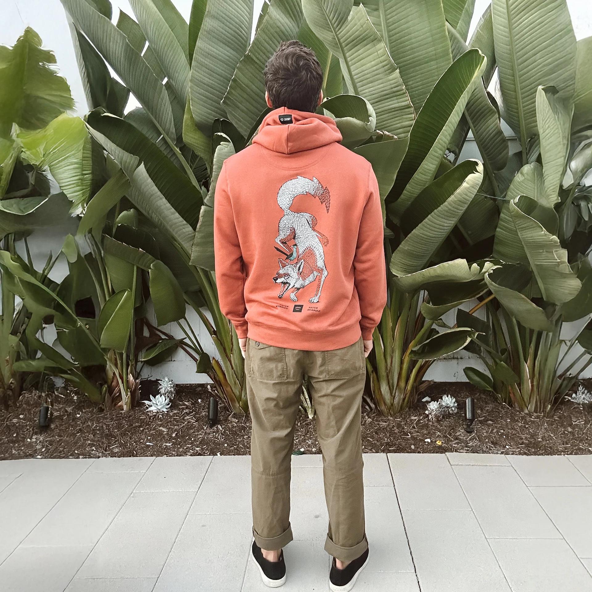 Coyote Hoodie - Image 3