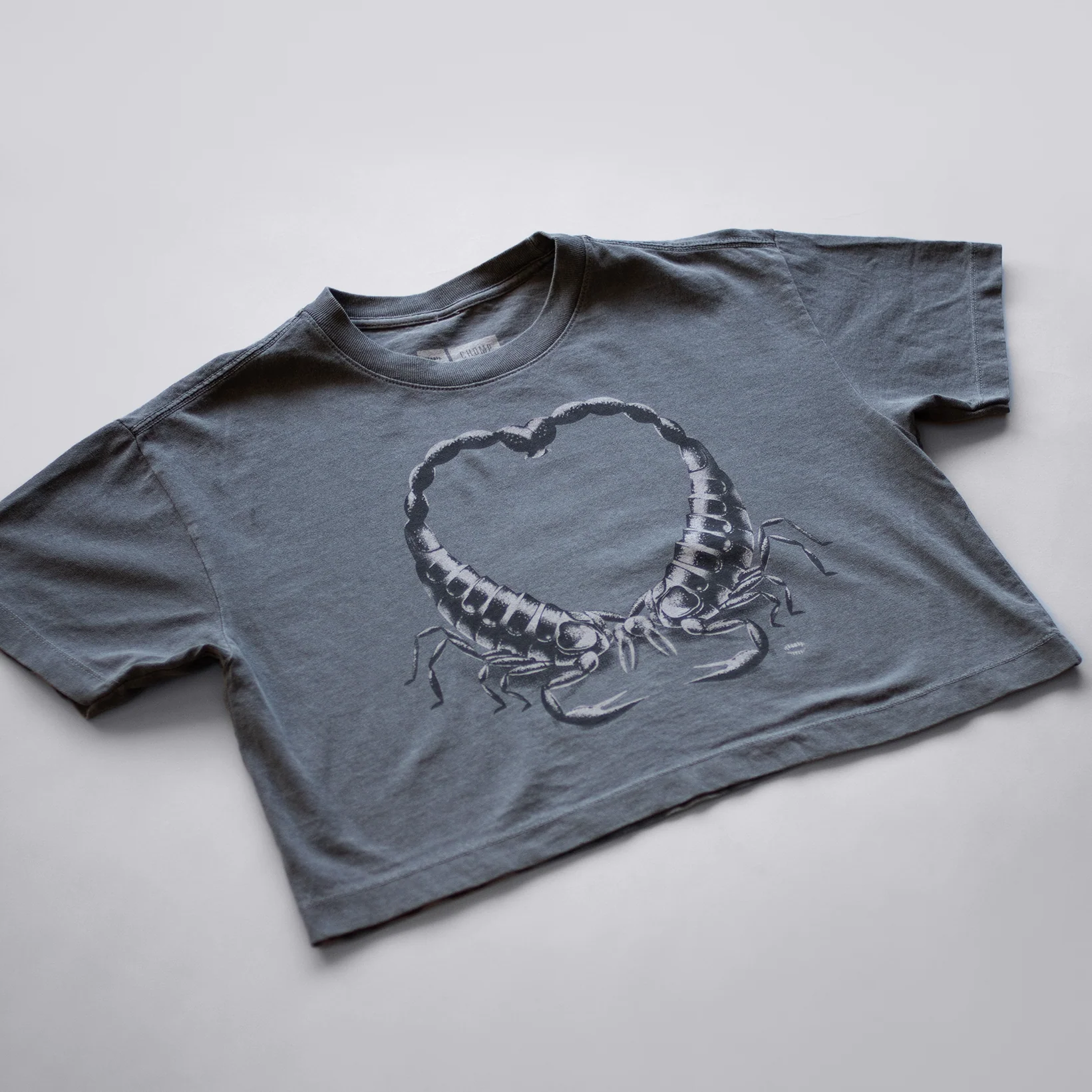 Scorpion Heart Crop - Image 3