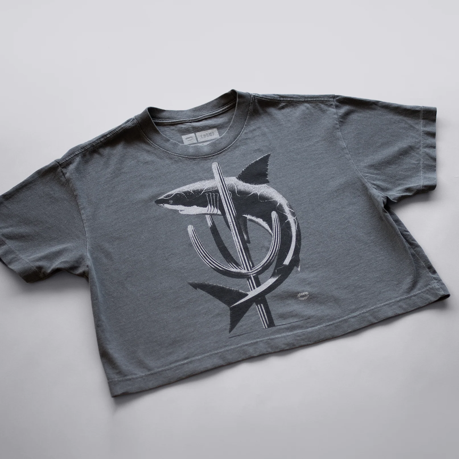 Shark Cactus Crop - Image 3